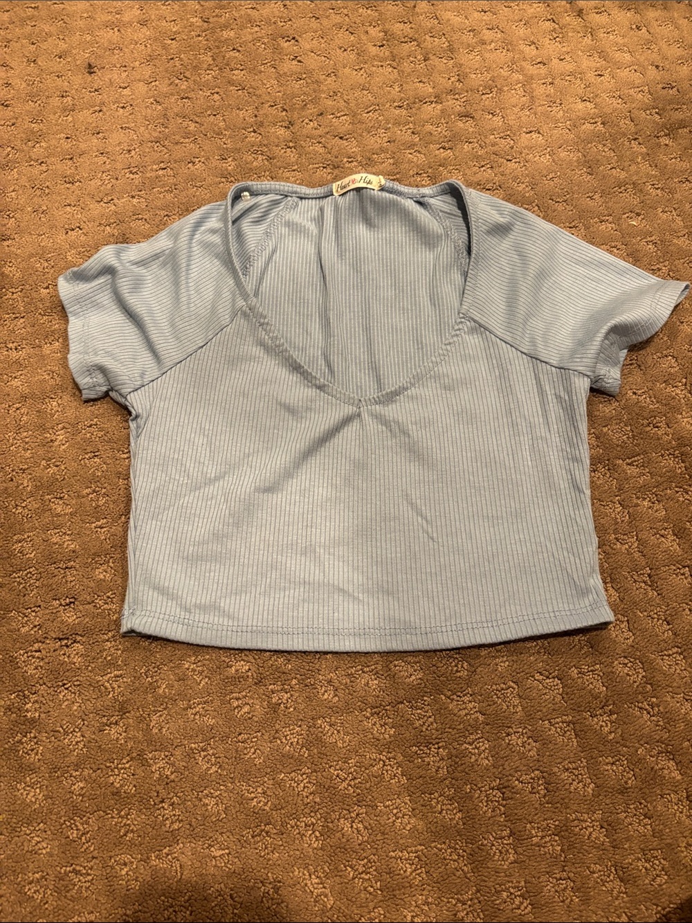 Ribbed Light Blue V-Neck Crop Top